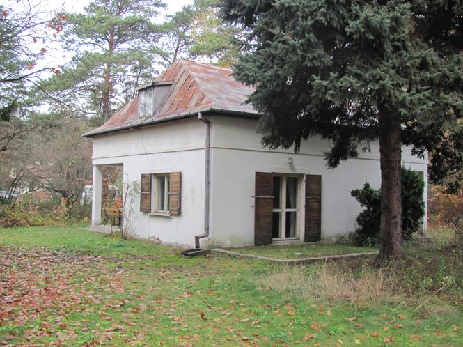 zdjęcie w konkursie Remont roku